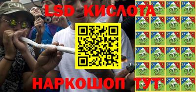 Альфа ПВП Можга