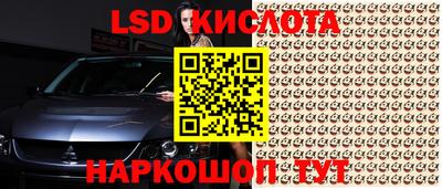 СК Моздок
