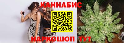 Альфа ПВП Можга