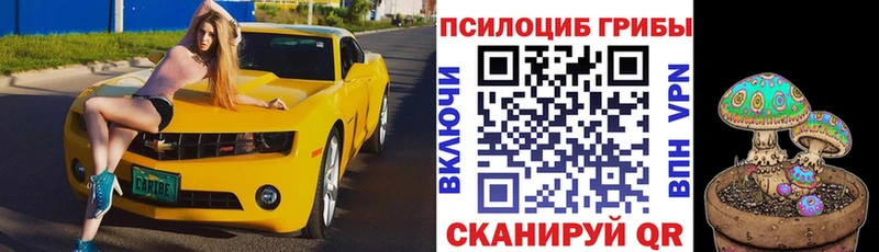 Псилоцибиновые грибы мухоморы купить цена дарк нет Telegram Домодедово