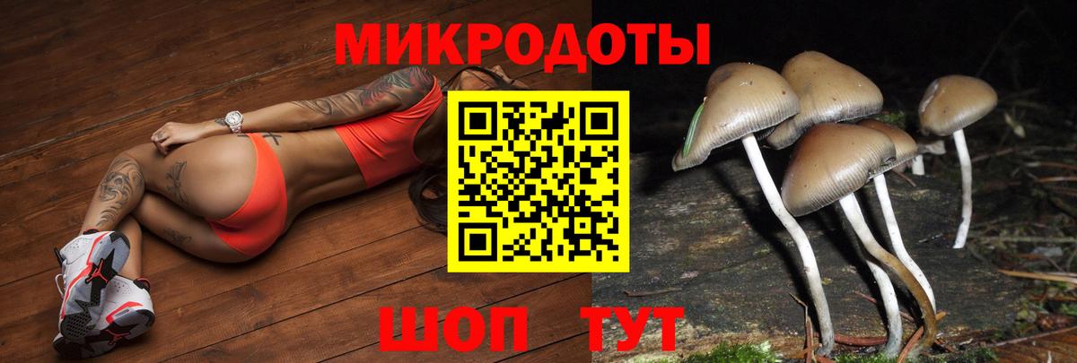 Псилоцибиновые грибы мицелий  Псилоцибиновые грибы Cubensis  Домодедово  Вход с VPN 